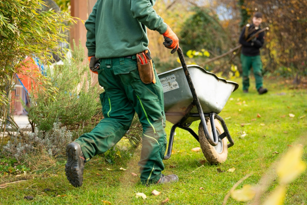 Landscaping